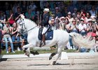 Pferd International 179